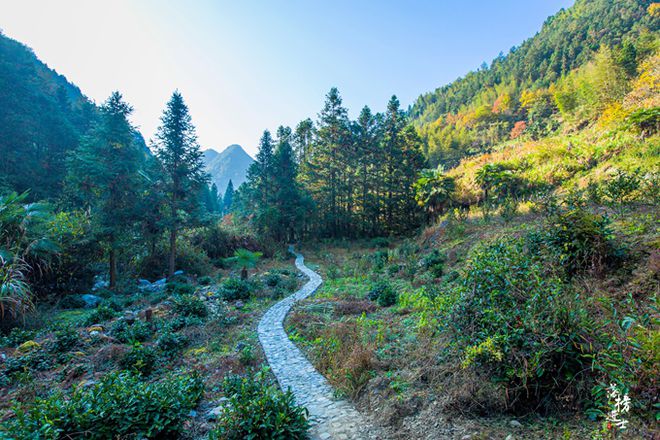 还是中国最佳原始森林休闲体验地、黄山市温泉村、皖浙赣边区红军村